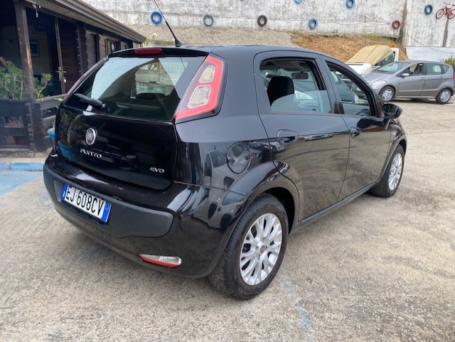 FIAT PUNTO EVO