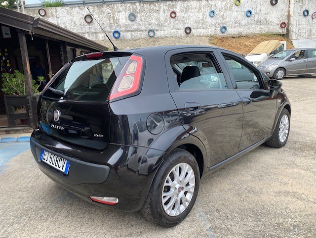 FIAT PUNTO EVO