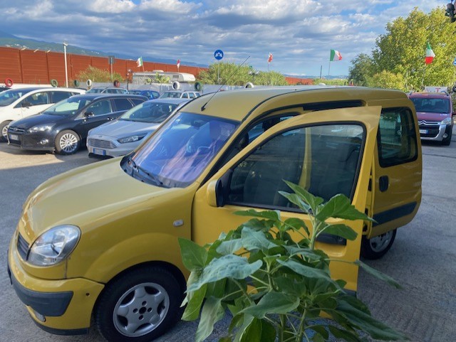 RENAULT KANGOO