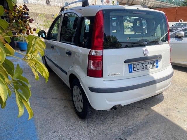 FIAT PANDA
