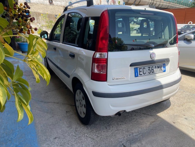 FIAT PANDA