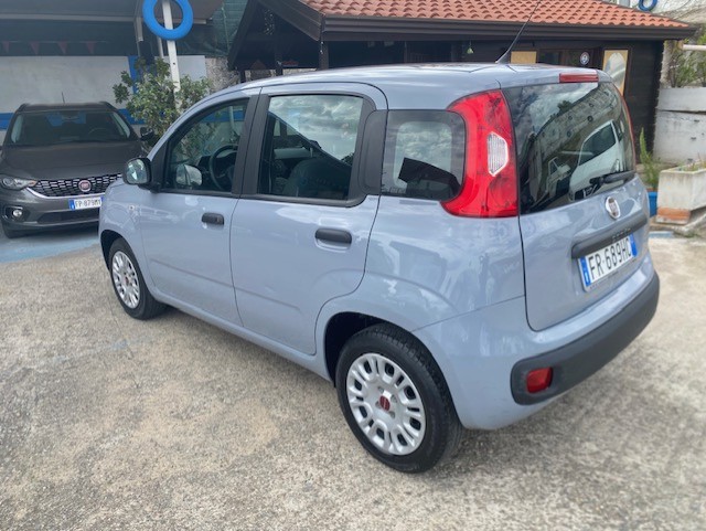 FIAT PANDA